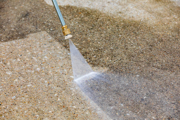 Best Driveway Pressure Washing  in Pocomoke City, MD